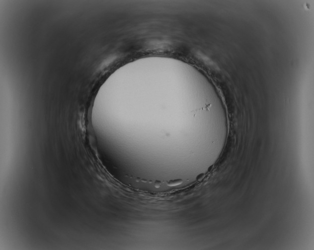 X0000086741206200705041401