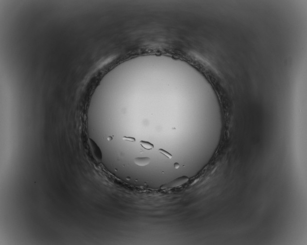 X0000086741207200705041401