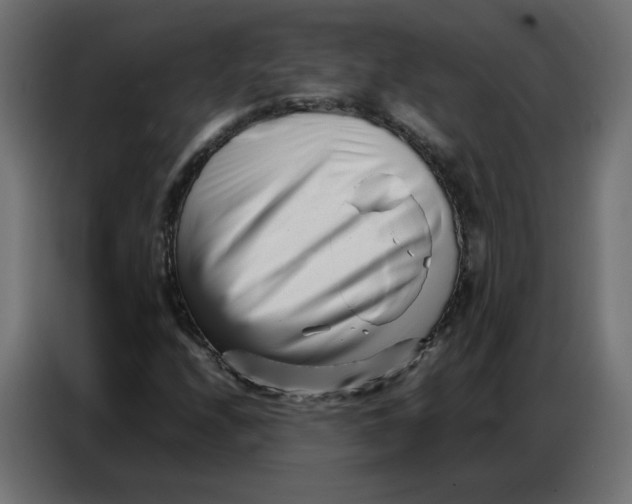 X0000086741208200705041401