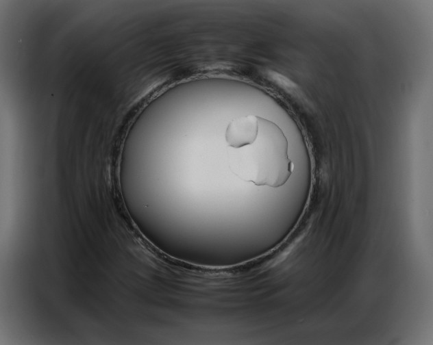 X0000086741209200705041401