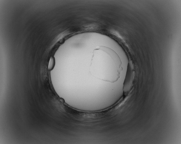 X0000086741211200705041401