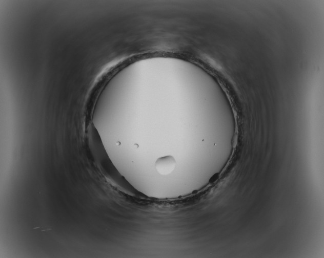 X0000086741214200705041401