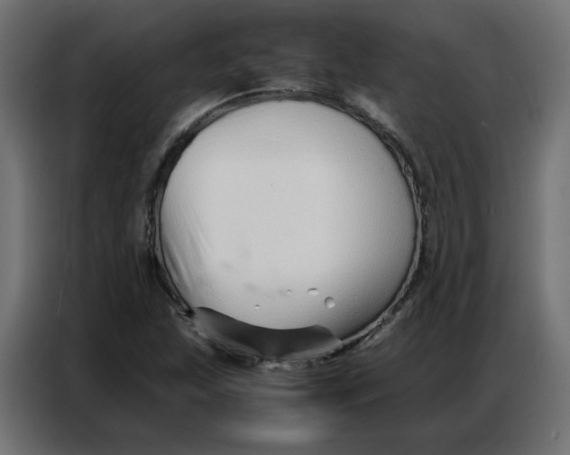 X0000086741215200705041401