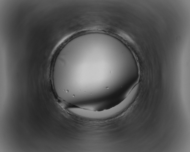 X0000086741216200705041401