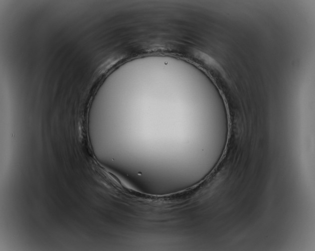 X0000086741217200705041401