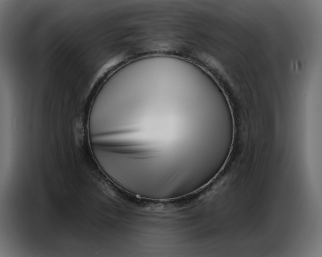 X0000086741218200705041401