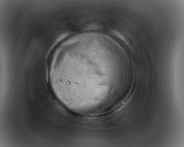 X0000086741219200705041401