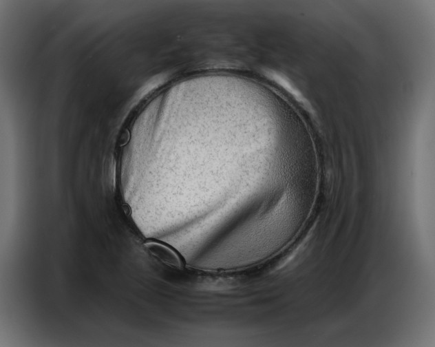 X0000086741221200705041401