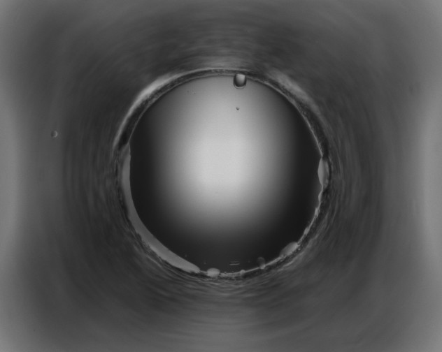 X0000086741222200705041401