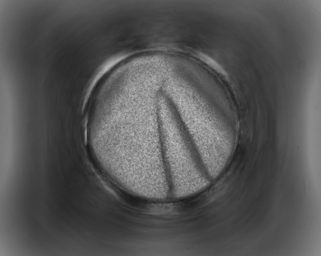 X0000086741223200705041401