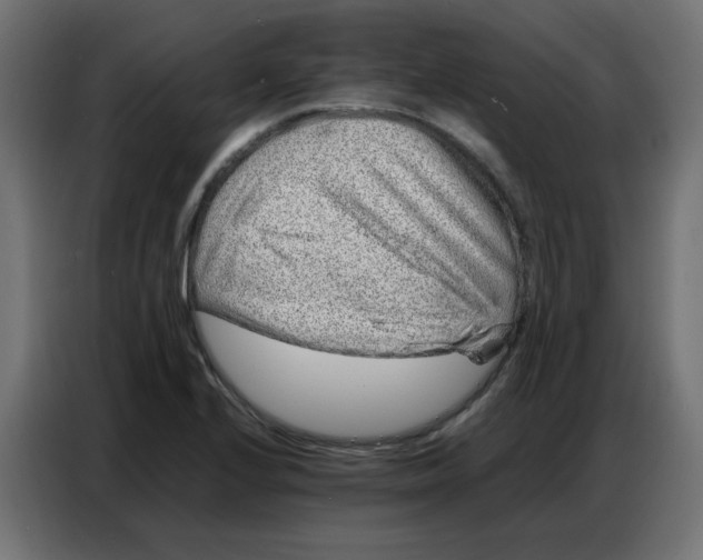 X0000086741224200705041401