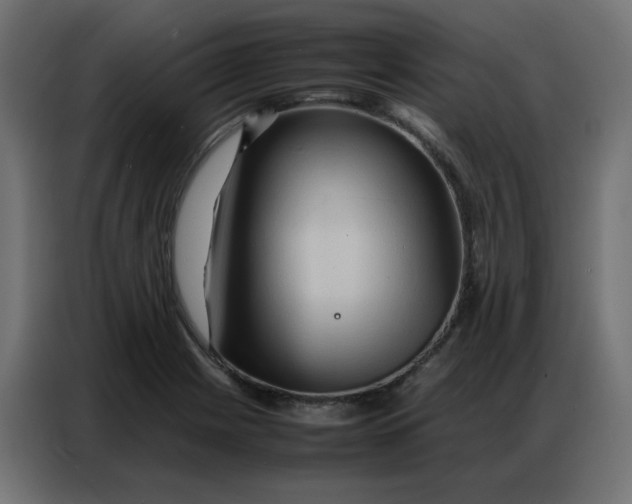 X0000086741225200705041401