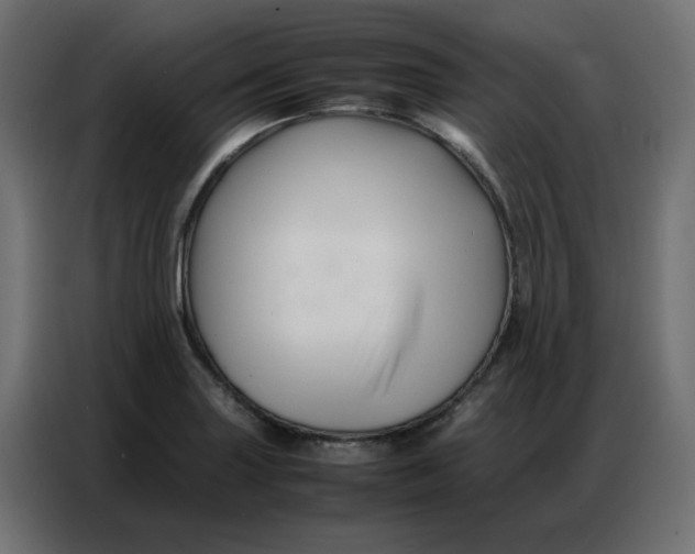 X0000086741227200705041401