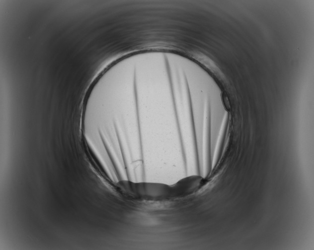 X0000086741228200705041401