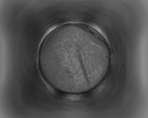 X0000086741229200705041401