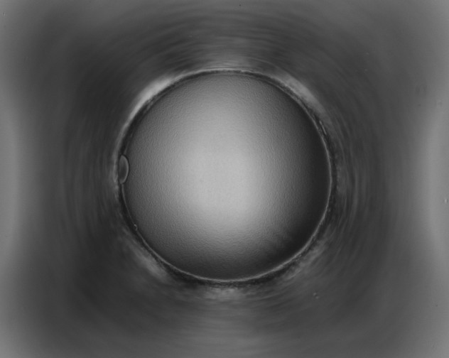 X0000086741230200705041401