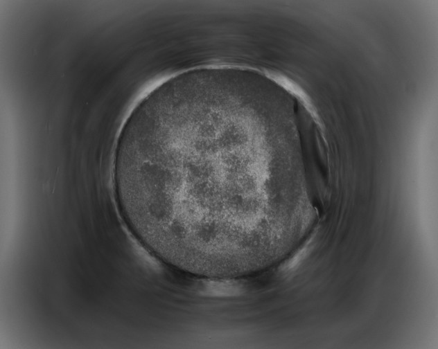 X0000086741231200705041401