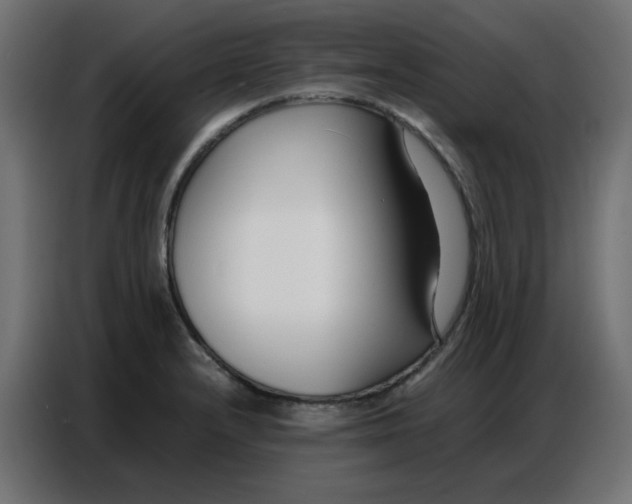 X0000086741232200705041401