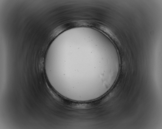 X0000086741233200705041401