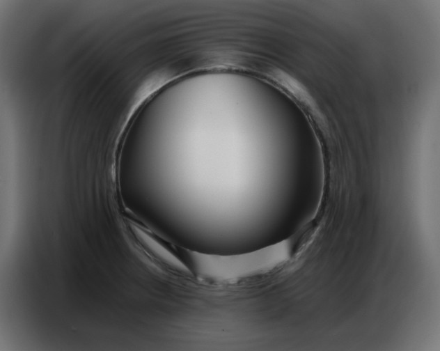 X0000086741234200705041401