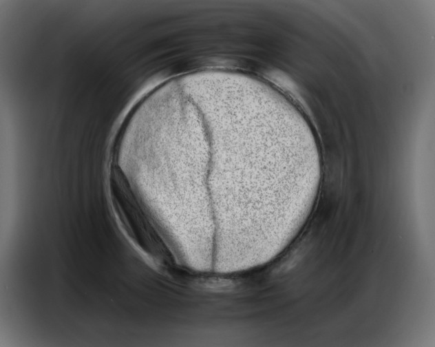 X0000086741235200705041401