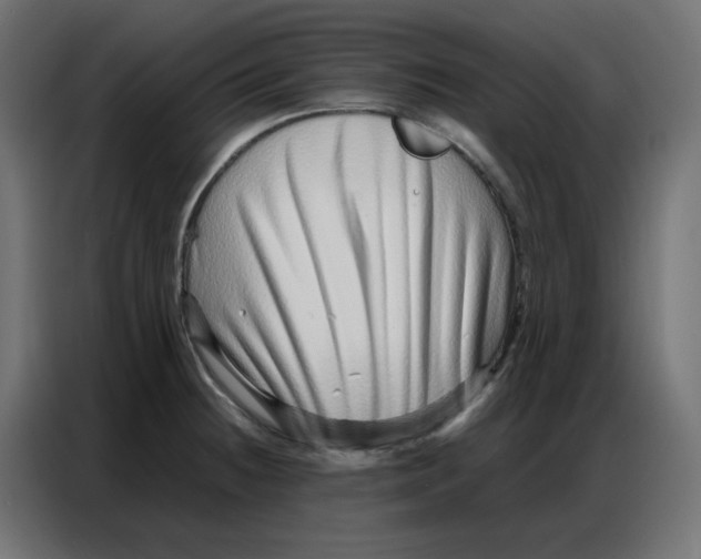 X0000086741236200705041401