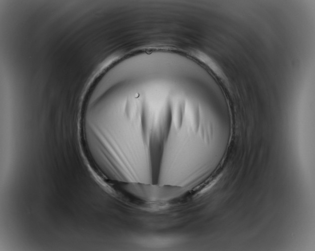 X0000086741237200705041401