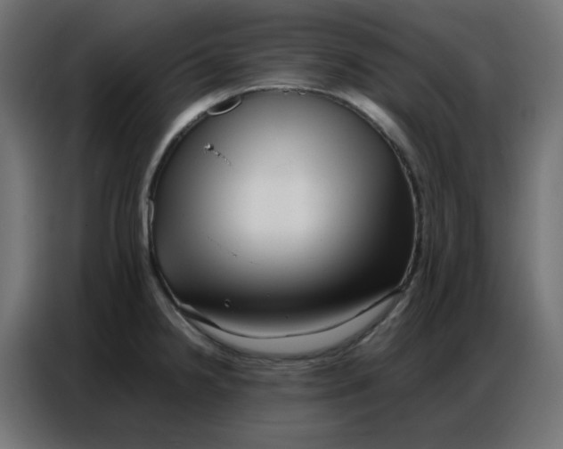 X0000086741238200705041401