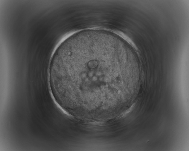 X0000086741239200705041401