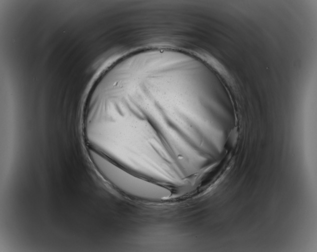 X0000086741240200705041401