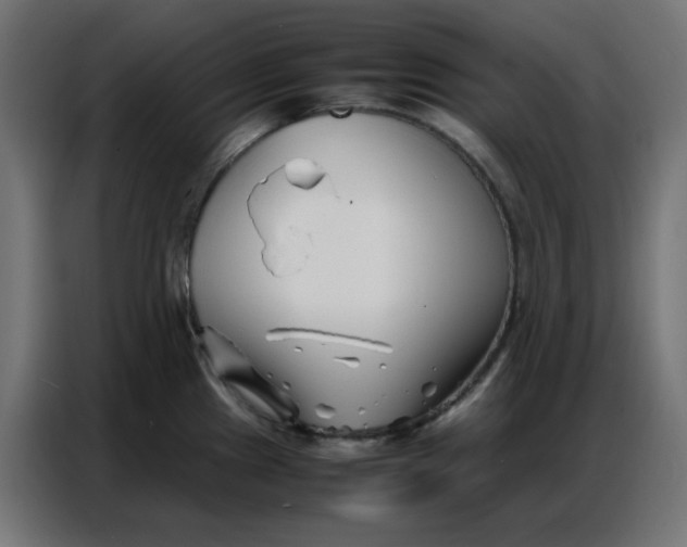 X0000086741241200705041401