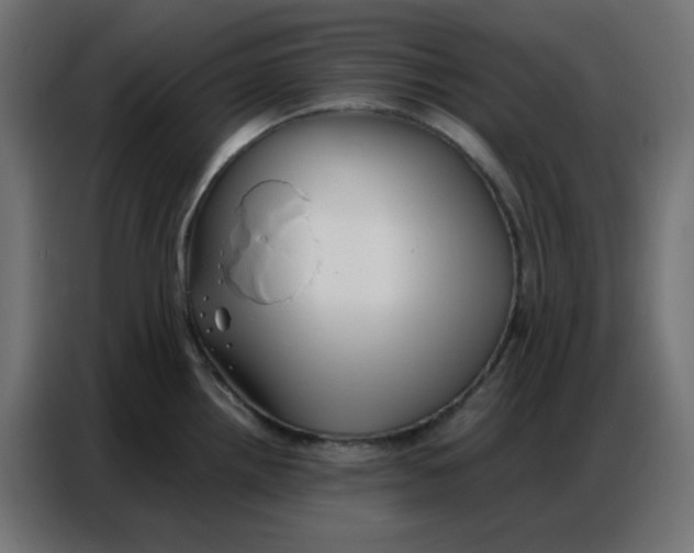 X0000086741242200705041401