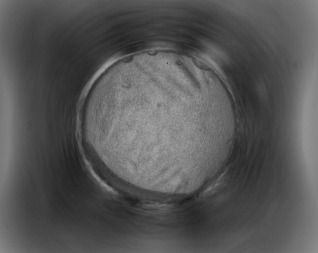 X0000086741243200705041401