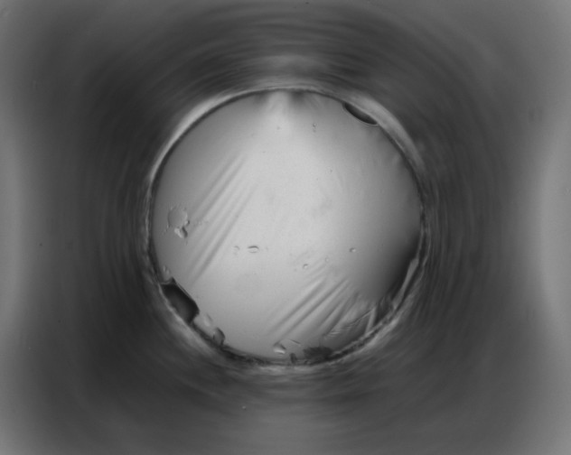 X0000086741244200705041401