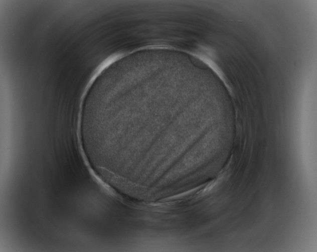 X0000086741245200705041401