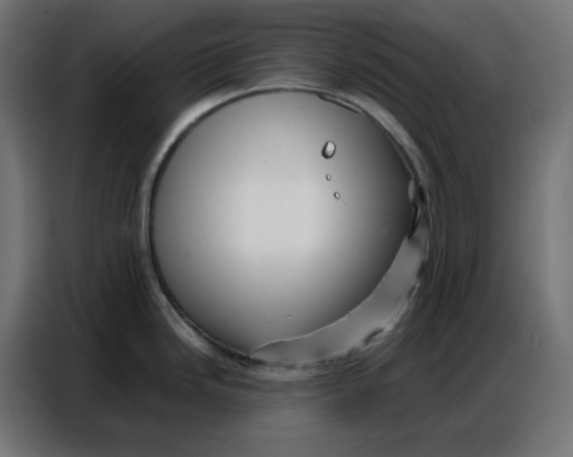 X0000086741246200705041401