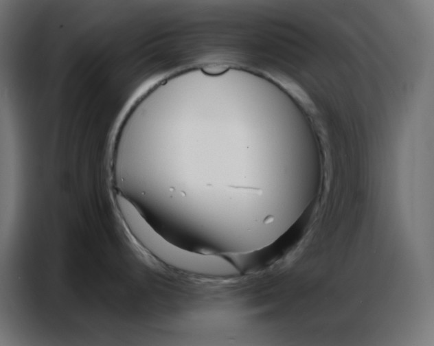 X0000086741248200705041401