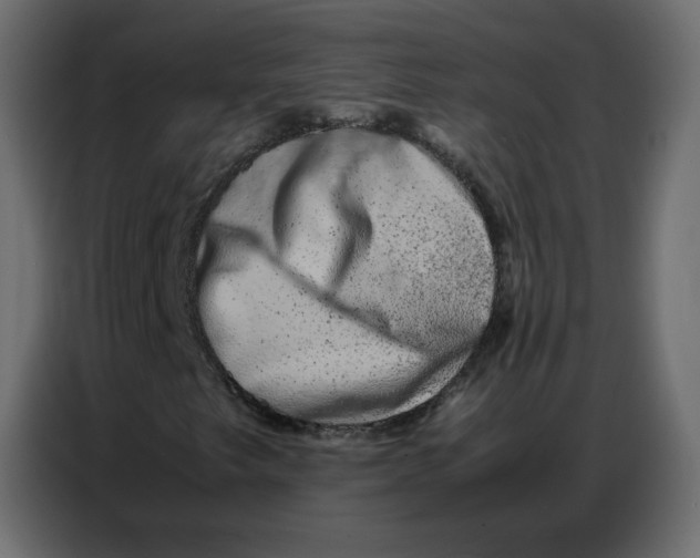 X0000086741249200705041400