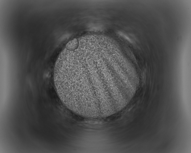 X0000086741254200705041400