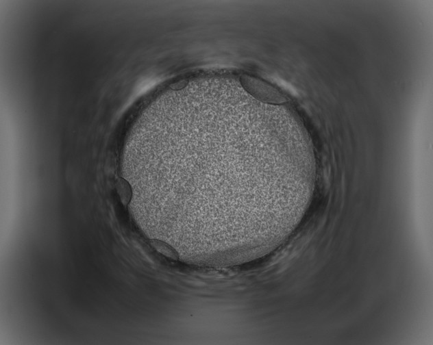 X0000086741255200705041400