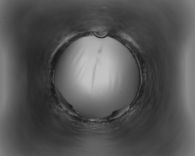 X0000086741256200705041400