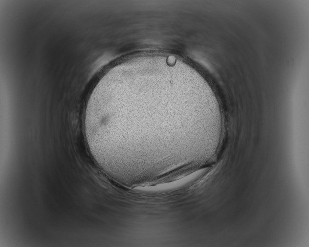 X0000086741259200705041400