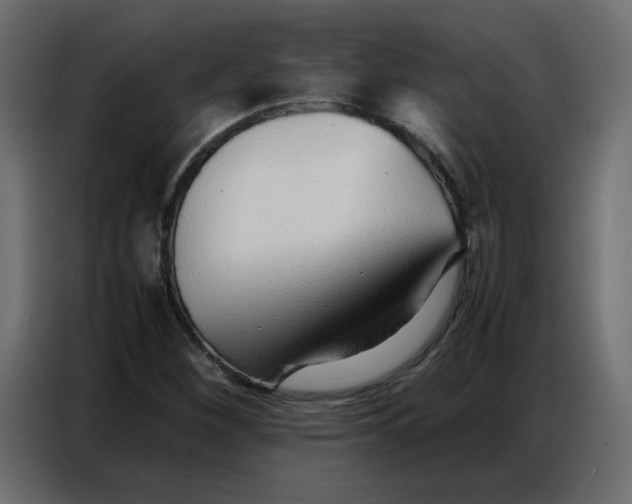 X0000086741260200705041400