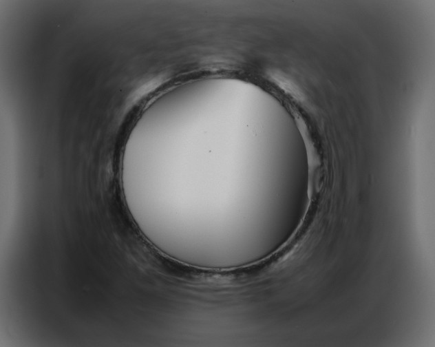 X0000086741261200705041400