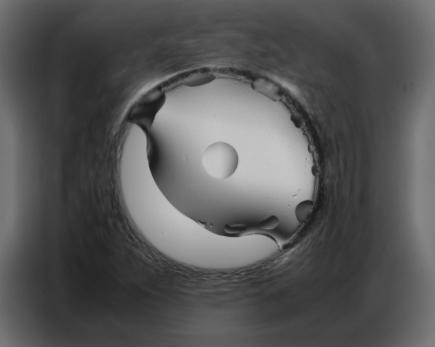 X0000086741263200705041400