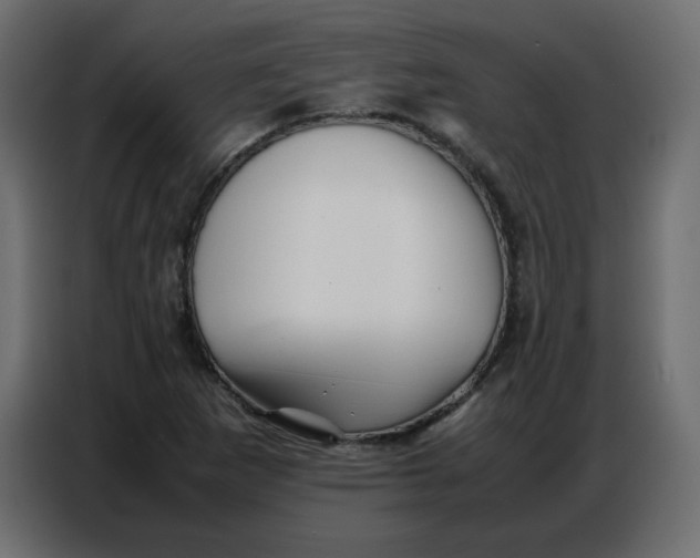 X0000086741265200705041400