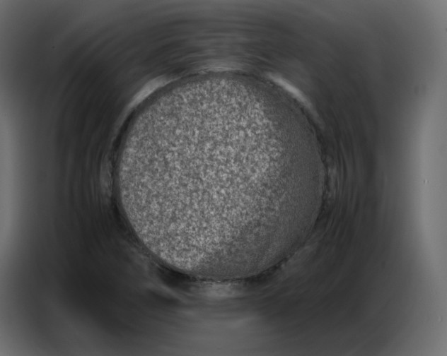 X0000086741266200705041400