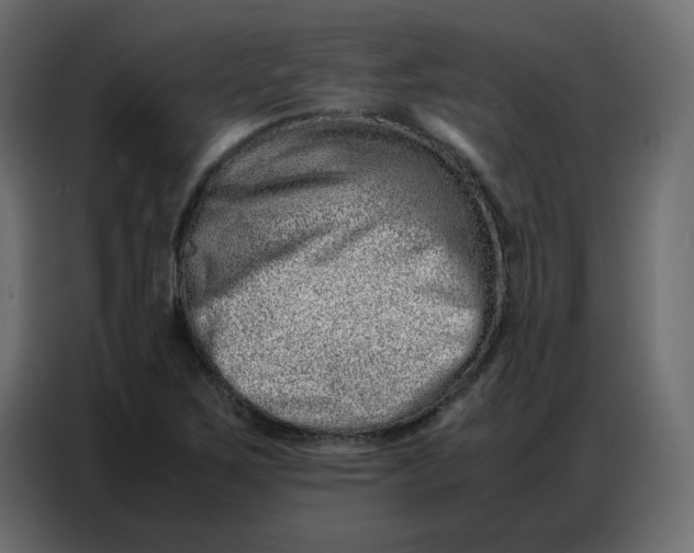 X0000086741267200705041400