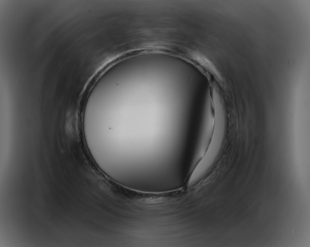 X0000086741268200705041400