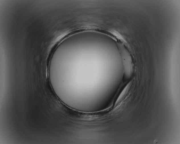 X0000086741269200705041400